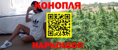 бошки Обь